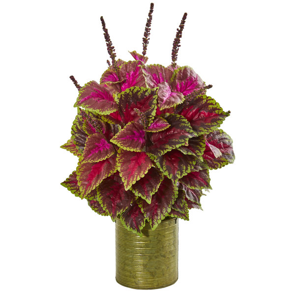 Primrue 24'' Faux Coleus Plant in Planter Wayfair